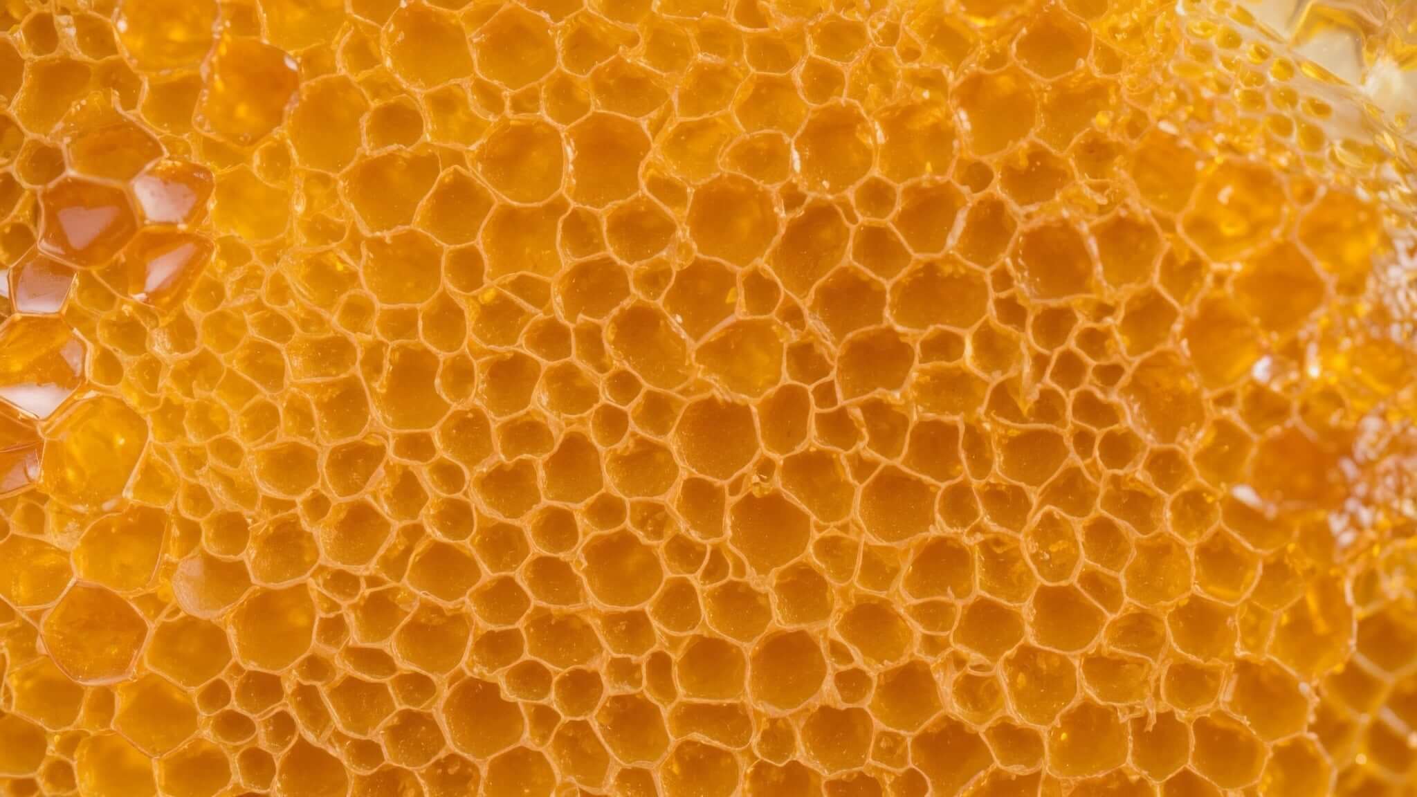 The Science of Crystallized Honey: Why It Happens and How to Fix It