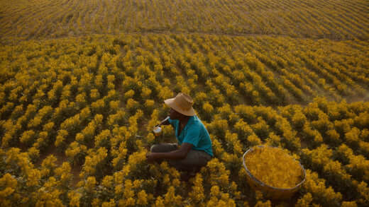 Honey and Sustainability: How We’re Making a Difference
