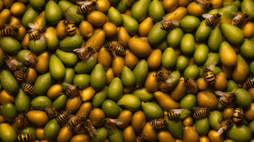 Discover the Sweet Harmony of Our Avocado Farm and Honey